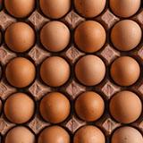 Oeuf