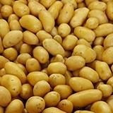 Pommes de terre