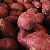 Patate douce