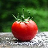 Tomates pelées (boite)