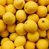 Citron moyen