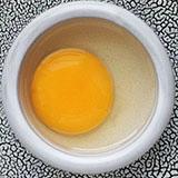 Jaune d'oeuf